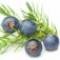 juniper-berries-دانه-سرو-کوهی