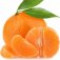 clementine-نارنگی-یافا