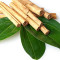 cinnamon-leaf-برگ-دارچین