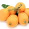 japanese-loquat-ازگیل-ژاپنی